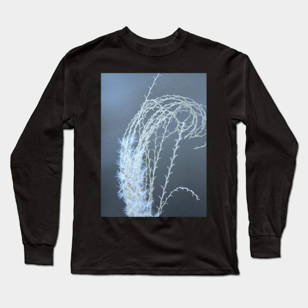 Ornamental Grasses #2 Long Sleeve T-Shirt by LaurieMinor